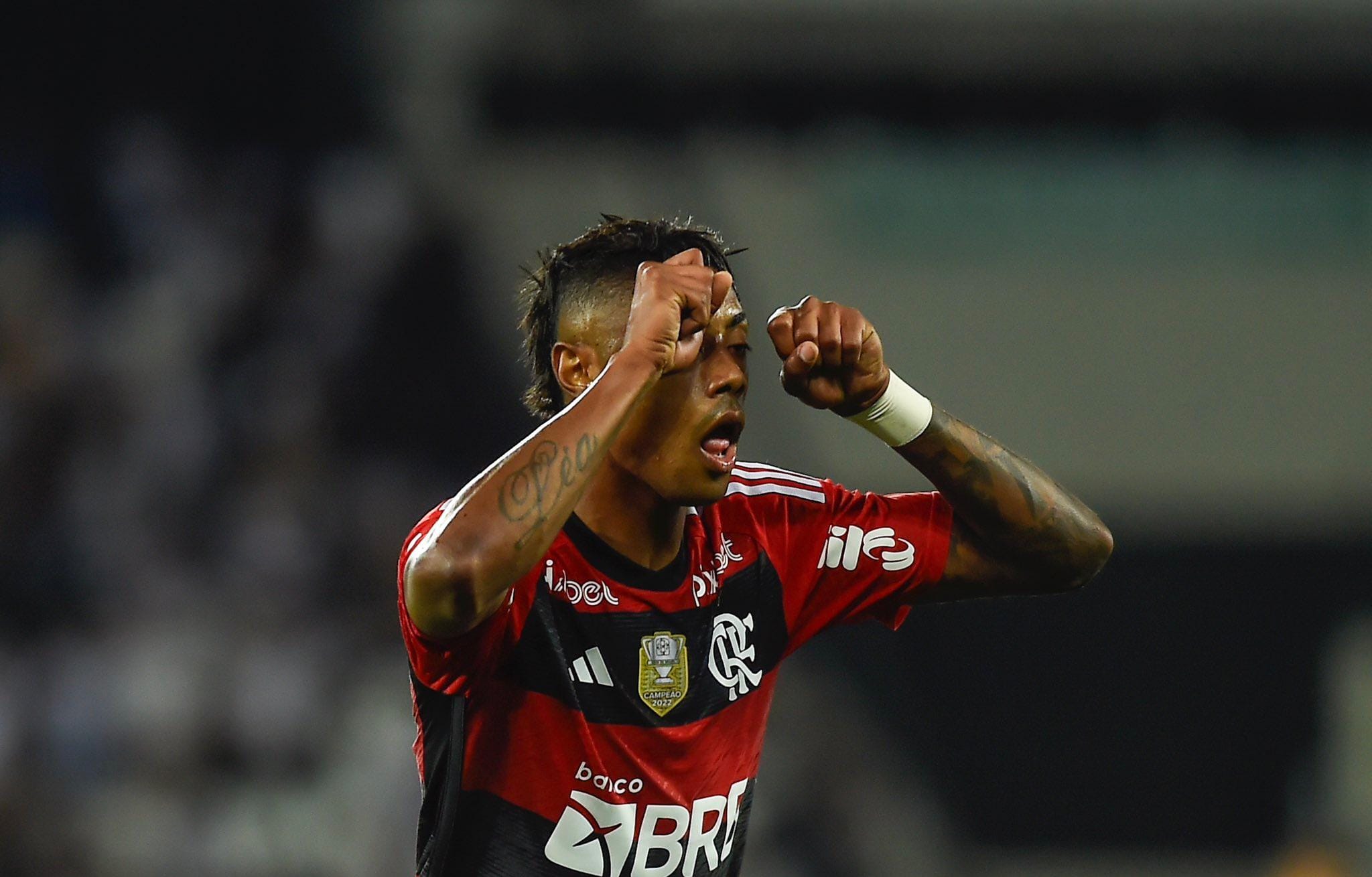 Foto : Reprodução/ Flamengo